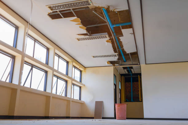 Best Water damage restoration experts  in San Diego, CA