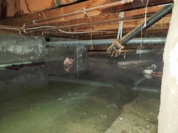 Reliable San Diego, CA Water damage restoration Solutions