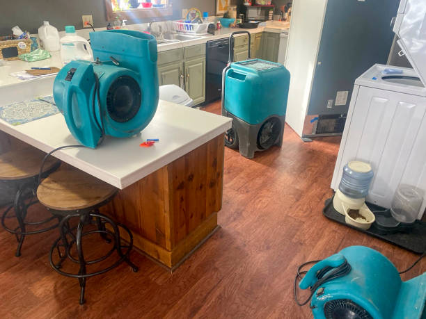 Best 24-hour water damage restoration  in San Diego, CA
