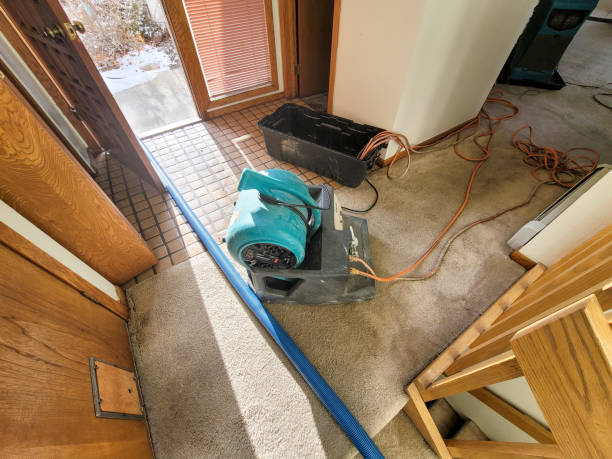 Best Carpet water damage restoration  in San Diego, CA