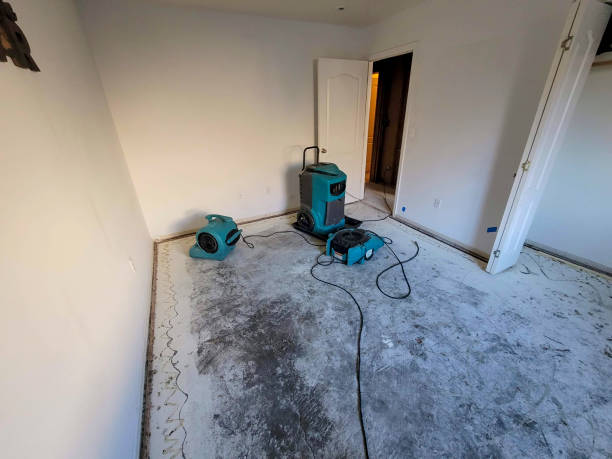 Best Sewage cleanup and water damage restoration  in San Diego, CA