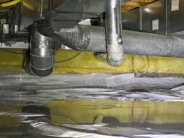 Best Mold removal after water damage  in San Diego, CA