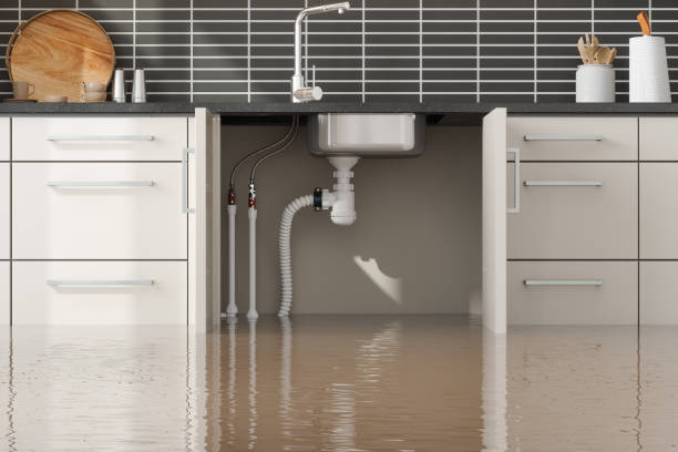 Best Basement water damage restoration  in San Diego, CA