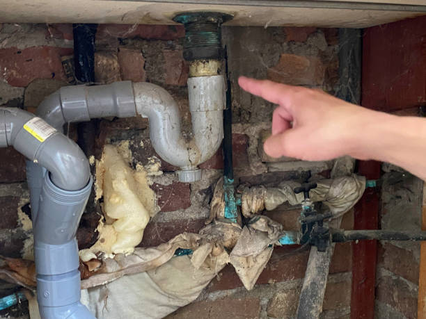 Trusted San Diego, CA Water damage restoration Experts